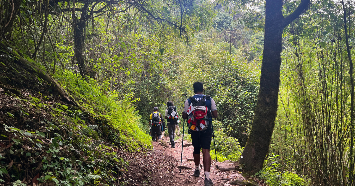 The trail of ABC in May