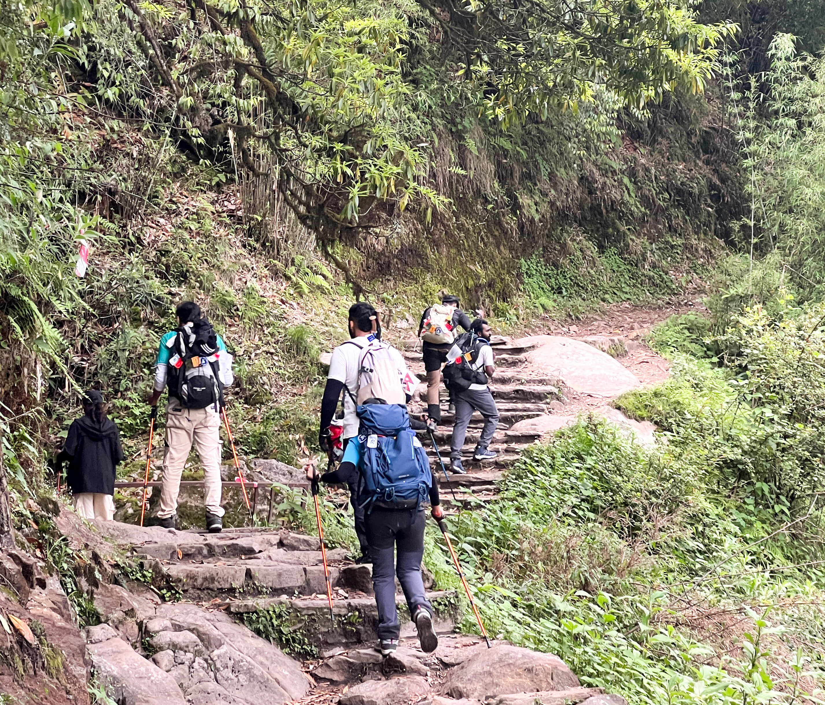 best season to trek