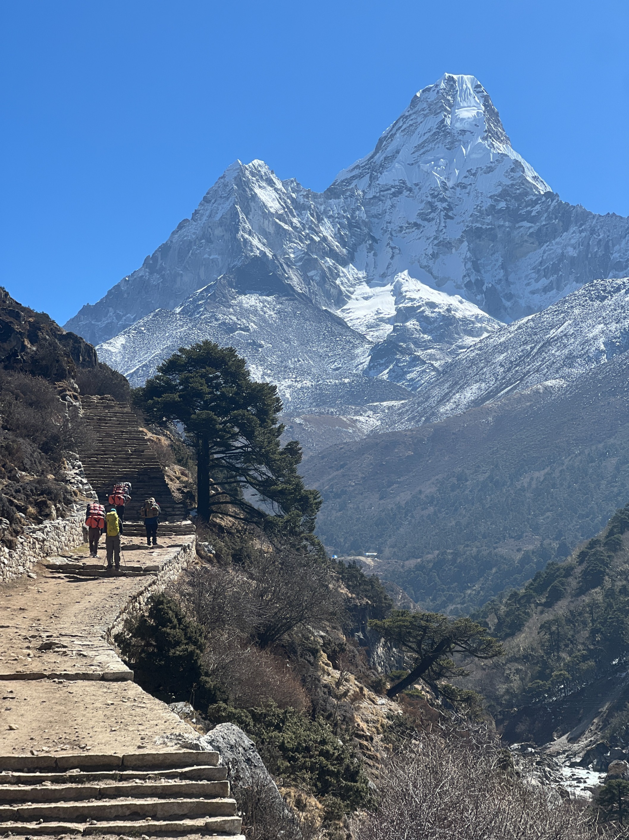 Ama Dablam EBC Trek