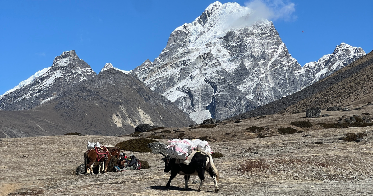Everest Base Camp Trek March