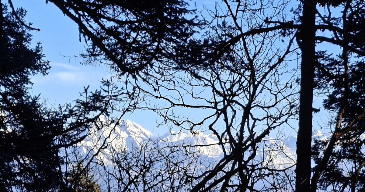 Langtang trek