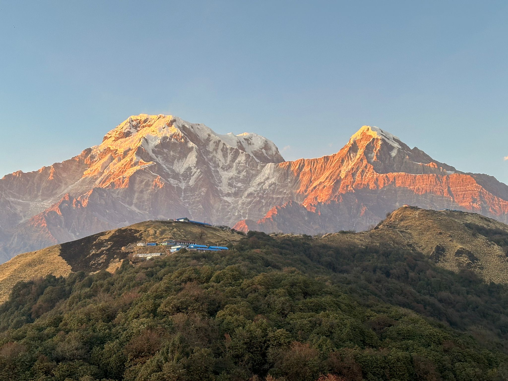 forest in mardi himal trek